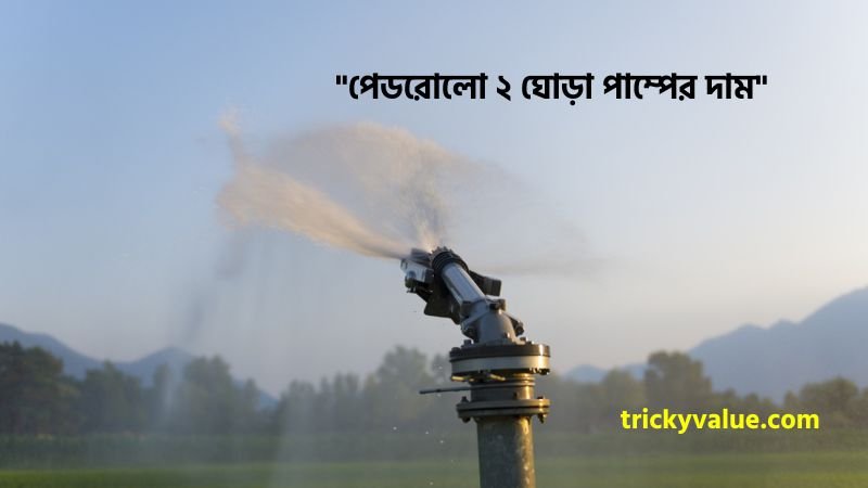 পেডরোলো ২ ঘোড়া পাম্পের দাম