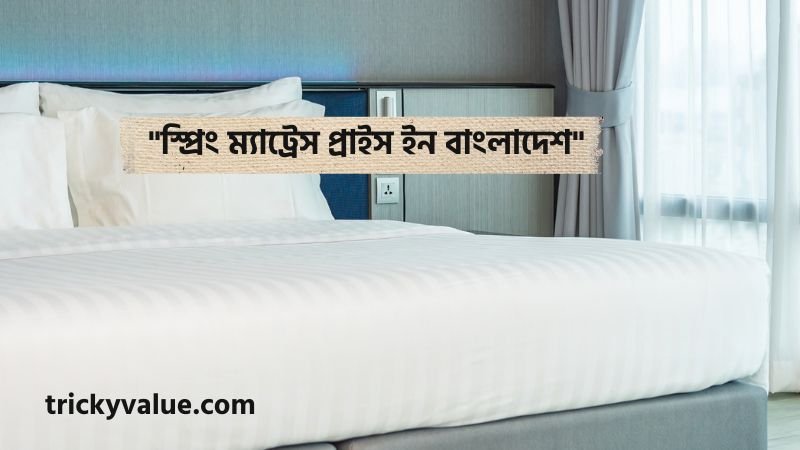 স্প্রিং ম্যাট্রেস প্রাইস ইন বাংলাদেশ